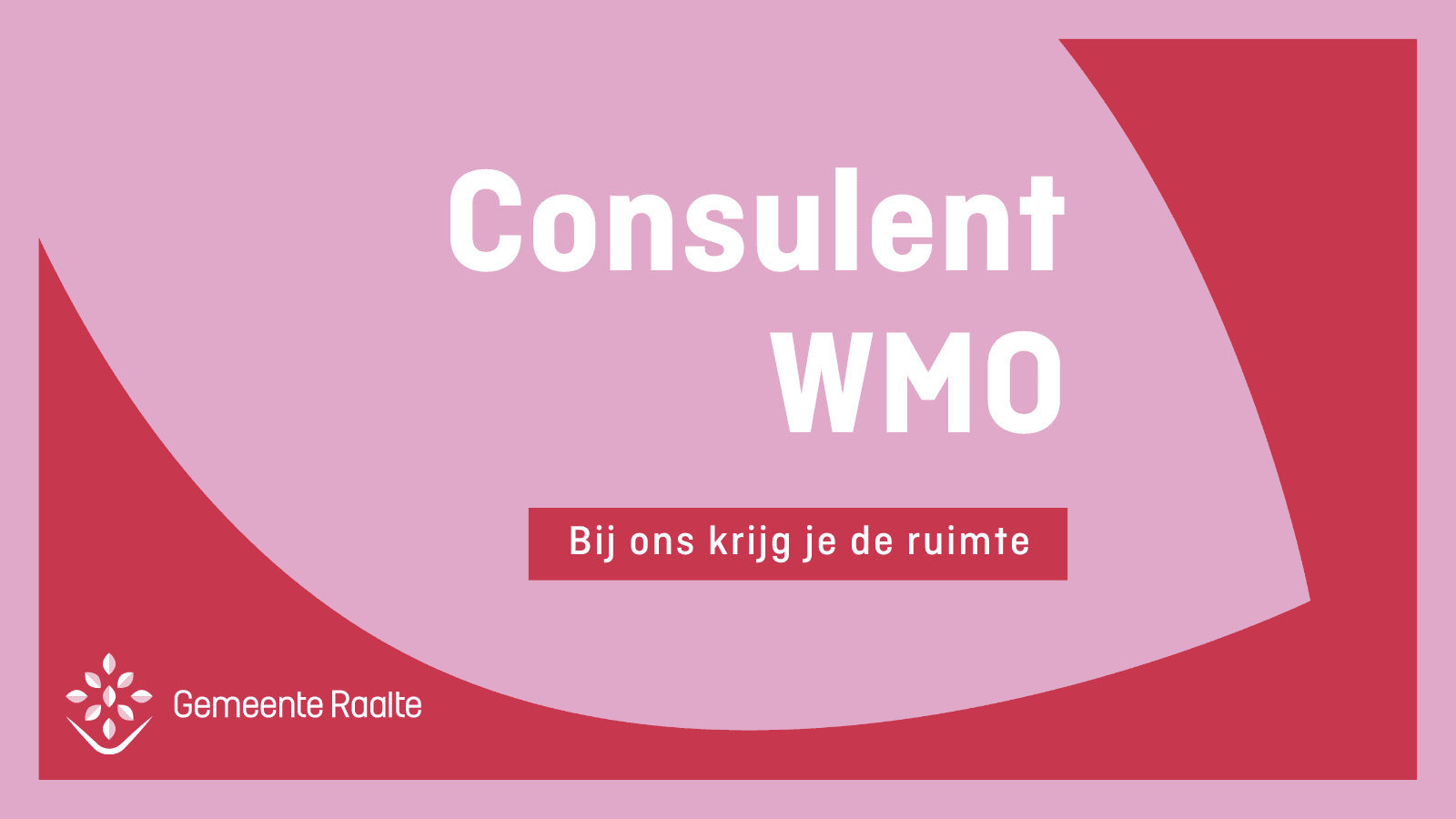 Consulent WMO