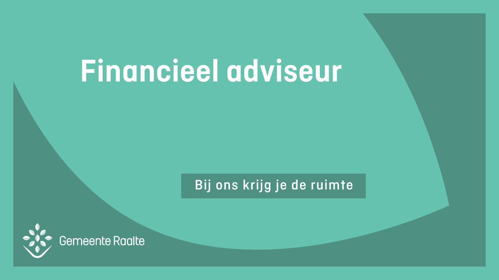 Financieel adviseur